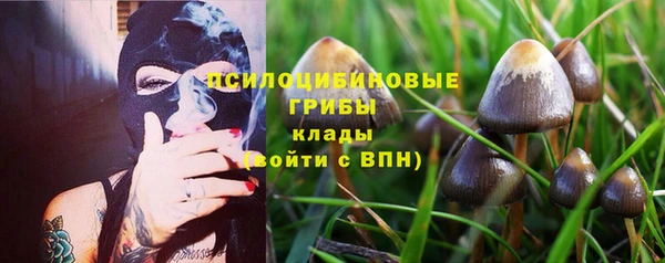амфетамин Богданович