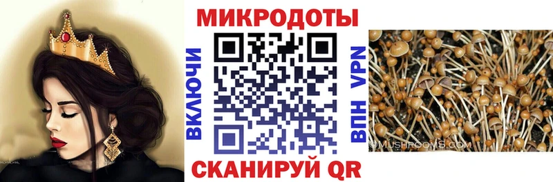 купить сайты Болохово Галлюциногенные грибы MAGIC MUSHROOMS
